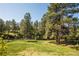 Expansive backyard with lush greenery and mature trees, perfect for outdoor activities at 1288 Gambel Oaks Dr, Elizabeth, CO 80107