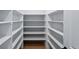 Walk-in pantry featuring extensive shelving for ample storage, perfect for organization at 1667 Fox Trotter Pt, Castle Rock, CO 80104
