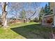 Spacious backyard with lush green grass, mature trees, and a wooden fence at 1395 Abilene Dr, Broomfield, CO 80020