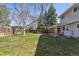 Lush backyard with expansive lawn, towering trees, and covered patio at 1395 Abilene Dr, Broomfield, CO 80020