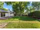 A spacious backyard with lush green grass and mature trees providing plenty of shade at 7036 S Apache St, Littleton, CO 80120