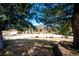 Spacious ranch home featuring mature trees and a horseshoe driveway at 6936 S Chapparal W Cir, Centennial, CO 80016