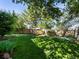 Lush green backyard with mature trees, providing shade and privacy for outdoor enjoyment at 1250 S Boyero Ct, Superior, CO 80027