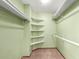 Walk-in closet features built-in white shelving, green walls, and carpeted floors at 5421 S Vivian St, Littleton, CO 80127