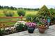 Beautifully potted flowers add a splash of color to the serene backyard space at 12164 Adams St, Thornton, CO 80241