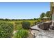 Charming backyard features a patio perfect for enjoying outdoor living and entertaining at 12164 Adams St, Thornton, CO 80241