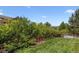 Lush backyard featuring a green lawn, mature trees, and a charming wooden fence at 1575 Ridgetrail Ct, Castle Rock, CO 80104