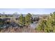 Serene backyard view with mature trees, neighboring homes, and a glimpse of distant mountains at 1575 Ridgetrail Ct, Castle Rock, CO 80104