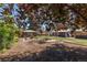 Expansive backyard showcasing a wooden shed, fire pit, and well-maintained landscaping at 12375 W 19Th Pl, Lakewood, CO 80215
