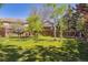 Spacious backyard with green grass and mature trees at 4875 E 117Th Dr, Thornton, CO 80233