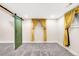 Finished basement featuring plush carpet, soft lighting, and a sliding barn door at 315 S Franklin St, Denver, CO 80209
