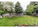 Spacious backyard with mature trees, a well-maintained lawn, and a privacy fence at 6120 W 111Th Ave, Westminster, CO 80020