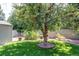 Backyard with a lush lawn and an apple tree, complemented by a rock border at 6120 W 111Th Ave, Westminster, CO 80020