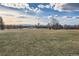 Open grassy field with blue sky and city skyline in distance at 2675 N Saint Paul St, Denver, CO 80205