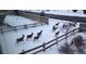 A group of deer roam through the snow-covered backyard, near a wooden fence at 22962 Briar Leaf Ave, Parker, CO 80138
