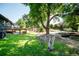 Large backyard with a tire swing, trampoline, fire pit, deck, and mature tree at 332 Maple Dr, Frederick, CO 80530