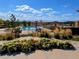 Community pool with landscaping and views of the mountains at 821 Boulder Peak Ave, Erie, CO 80516