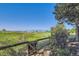 Lush green backyard with a wood fence, offering privacy and a view of mountains in the distance at 916 W Alder St, Louisville, CO 80027