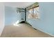 Light blue bedroom with painted tree and swing on the wall, carpet flooring and a large window at 2030 Gyros Cir # 155, Lafayette, CO 80026