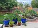 Serene backyard garden space with colorful potted plants, raised garden beds, and a lush green lawn at 4907 Fenwood Dr, Highlands Ranch, CO 80130