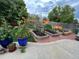 Backyard garden featuring raised garden beds, potted sunflowers, and a small orange tool shed at 4907 Fenwood Dr, Highlands Ranch, CO 80130