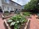 Backyard garden featuring a brick patio, multiple raised garden beds and lush greenery at 4907 Fenwood Dr, Highlands Ranch, CO 80130