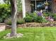Charming front yard features a stone wall and blooming flowers at 4907 Fenwood Dr, Highlands Ranch, CO 80130