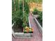 Lush vegetable garden featuring tomato plants and other vegetables, with a basket of fresh produce at 4907 Fenwood Dr, Highlands Ranch, CO 80130
