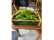 Wooden basket full of peppers harvested from the garden at 4907 Fenwood Dr, Highlands Ranch, CO 80130