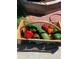 Freshly picked green peppers, zucchini, and tomatoes in a basket at 4907 Fenwood Dr, Highlands Ranch, CO 80130