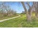 Scenic view of a walking path surrounded by green grass and trees, ideal for outdoor activities at 6238 S Cherry Cir, Centennial, CO 80121