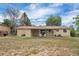 Home's backyard features a covered patio, lawn and mature trees for outdoor living and entertaining at 4559 Ashfield Dr, Boulder, CO 80301