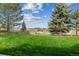 Beautiful lawn in a backyard with mature trees and a wooden fence featuring mountain views in the distance at 4749 Starfire Cir, Castle Rock, CO 80104