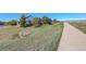 Scenic view featuring a walkway, landscaping, and mountains in the distance at 1909 Alpine Dr, Erie, CO 80516