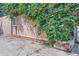 Exterior wall covered with a vibrant climbing plant and red trumpet flowers for enhanced curb appeal at 1928 S Washington St, Denver, CO 80210