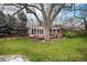 Beautiful backyard with mature trees and lush green lawn, perfect for outdoor activities at 3285 Balsam St, Wheat Ridge, CO 80033