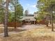 Private home nestled in a forest, featuring mature trees and a lush landscape at 1943 Columbine Ct, Golden, CO 80401