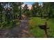 Driveway view of house with a large yard surrounded by trees at 7256 Aspen Meadow Dr, Evergreen, CO 80439