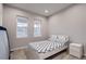Cozy bedroom with carpet, windows providing natural light, and a modern bed frame and furniture at 17203 Birds Foot Ave, Parker, CO 80134