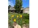 Charming two-story home with a well-kept lawn and colorful flowers in the front yard at 1324 Shadow Mountain Dr, Highlands Ranch, CO 80126