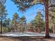 House nestled in a wooded area with a large yard at 28735 Little Big Horn Dr, Evergreen, CO 80439