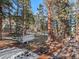 Wooded backyard with a partially snow covered lawn at 28735 Little Big Horn Dr, Evergreen, CO 80439