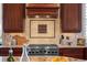 Modern kitchen with stainless steel stove, custom cabinets, and granite countertops at 9586 Silent Hills Ln, Lone Tree, CO 80124