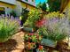 A lush backyard garden features a raised garden bed, potted flowers and a bench for outdoor relaxation at 3571 S Kittredge St # C, Aurora, CO 80013