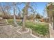Expansive backyard featuring a hammock, lush lawn, and outdoor seating with mature landscaping at 6661 Lamar St, Arvada, CO 80003