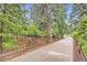Long, winding driveway framed by a wooden fence and mature trees, leading to the property at 4856 Cheyenne Dr, Larkspur, CO 80118