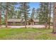 Charming house with stone accents, three-car garage, and a serene tree-lined front yard at 4856 Cheyenne Dr, Larkspur, CO 80118