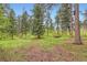 A heavily wooded lot with mature pines in a tranquil mountain setting at 4856 Cheyenne Dr, Larkspur, CO 80118