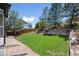 Large, grassy backyard with a wooden fence, a retaining wall, and mature trees at 1488 Baguette Dr, Castle Rock, CO 80108