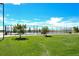 Community basketball court offers a fully enclosed court with a seating area on a well-maintained green lawn at 1488 Baguette Dr, Castle Rock, CO 80108